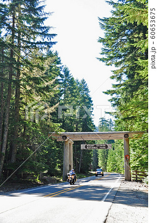マウントレニエ国立公園　Mount Rainier National Park 60653675