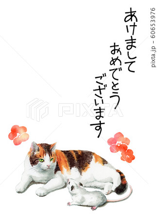 水彩で描いた三毛猫とねずみのイラストの年賀状 水彩で描いた三毛猫とねずみのイラストの年賀状 60653976