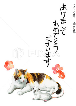 水彩で描いた三毛猫とねずみのイラストの年賀状 60653977