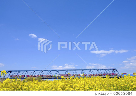 菜の花と鉄橋と電車 60655084