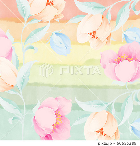 ブルーミング 開花 咲く 60655289