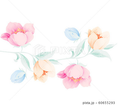 ブルーミング 開花 咲く 60655293