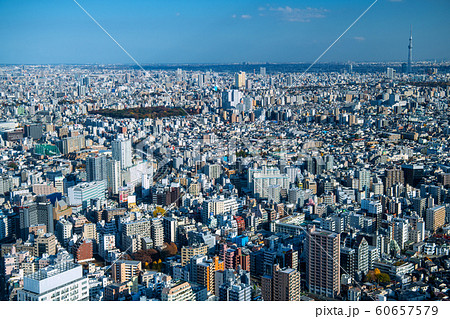 日本の東京都市景観 池袋から大塚駅や山手線、東京スカイツリーなどを望む 日本の東京都市景観 池袋から大塚駅や山手線、東京スカイツリーなどを望む 60657579