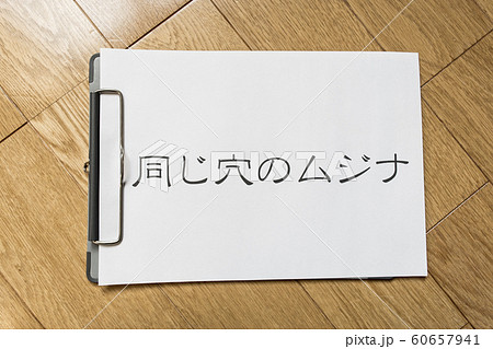 同じ穴のムジナ 同じ穴のムジナ 60657941