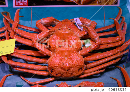 カニ・新鮮・採れたて・ズワイガニ カニ・新鮮・採れたて・ズワイガニ 60658335
