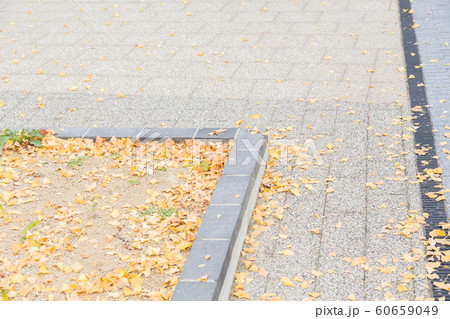 歩道の落ち葉 60659049
