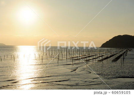 養殖場 海 海岸 60659105