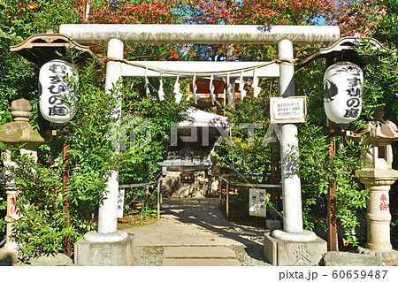 川越散歩：むすひの庭　熊野神社境内 60659487