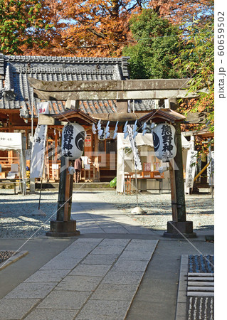 川越散歩：川越熊野神社 60659502