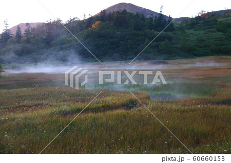 火打山の秋　至福の高谷池湿原の朝もや 60660153