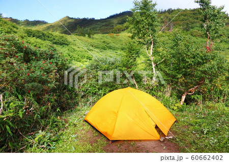 妙高山 山頂への道 黒沢池テント場 妙高山 山頂への道 黒沢池テント場 60662402