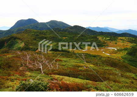 火打山山頂からの風景　高谷池湿原と妙高山遠景 60662659