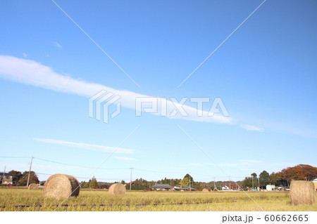 稲わらロール 栃木県高根沢町 稲わらロール 栃木県高根沢町 60662665