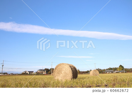 稲わらロール　栃木県高根沢町 60662672
