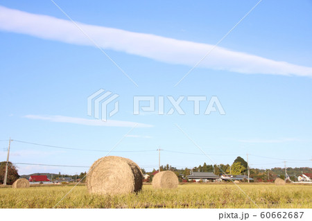 稲わらロール 栃木県高根沢町 稲わらロール 栃木県高根沢町 60662687