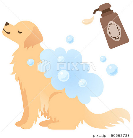 シャンプーをする犬のイメージイラストのイラスト素材