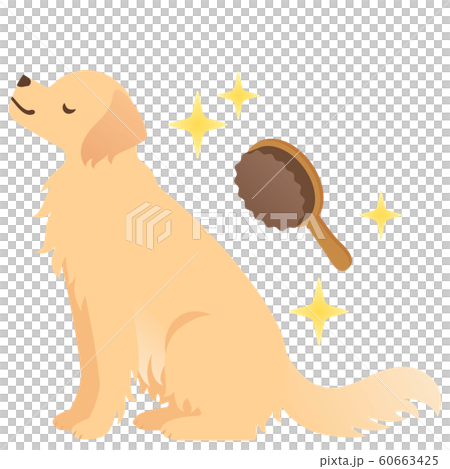 犬とブラシのイラスト 犬とブラシのイラスト 60663425