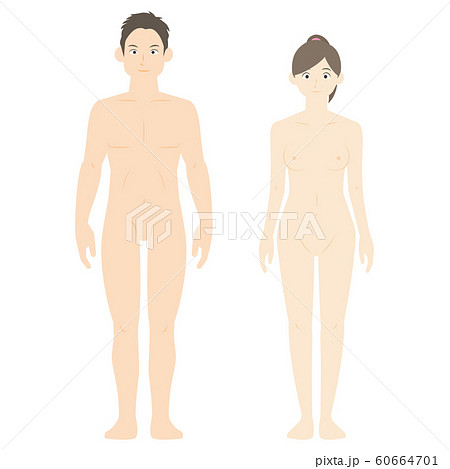 標準的な体型の男女 裸 のイラスト素材