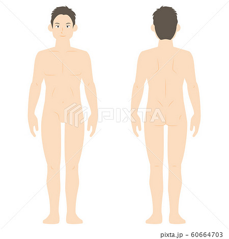 標準的な体型の男性 裸 のイラスト素材