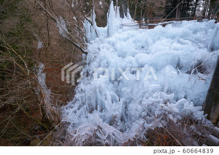 埼玉県 秩父の尾ノ内渓谷氷柱 60664839