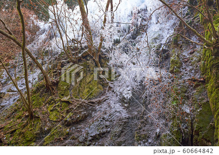 埼玉県 秩父の尾ノ内渓谷氷柱 埼玉県 秩父の尾ノ内渓谷氷柱 60664842