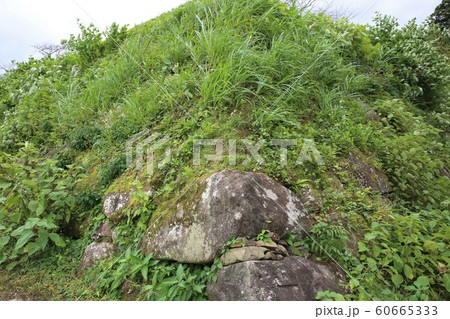 臼杵城 臼杵城 60665333