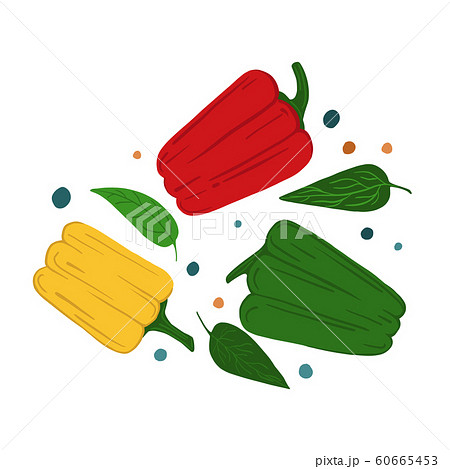 Bell peppers and leaves. Hand draw vegetable 60665453