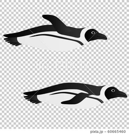 飛ぶように泳ぐペンギンのイラストのイラスト素材