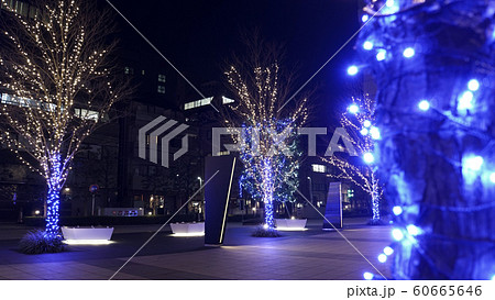 都会の木々を明るく照らすイルミネーション　恵比寿のオフィス街２ 60665646