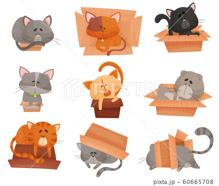 Cats Sleeping and Sitting in Cardboard Boxes Vector Set Cats Sleeping and Sitting in Cardboard Boxes Vector Set 60665708
