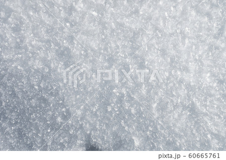 Snow background with detailed snowflakes. A macro photo of real snow crystals: large stellar dendrites with hexagonal symmetry, long elegant patterns and delicate transparent structures Snow background with detailed snowflakes. A macro photo of real snow crystals: large stellar dendrites with hexagonal symmetry, long elegant patterns and delicate transparent structures 60665761