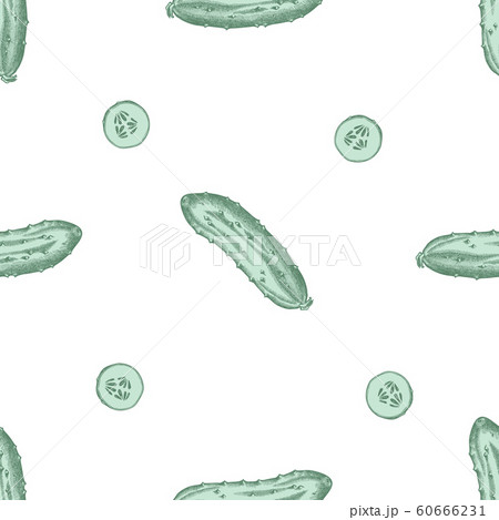 Seamless pattern with hand drawn pastel cucumber 60666231
