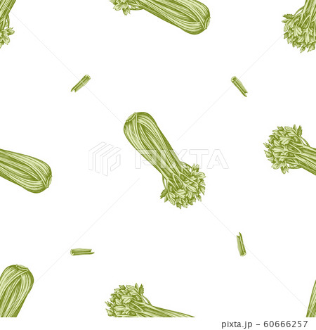 Seamless pattern with hand drawn pastel celery Seamless pattern with hand drawn pastel celery 60666257
