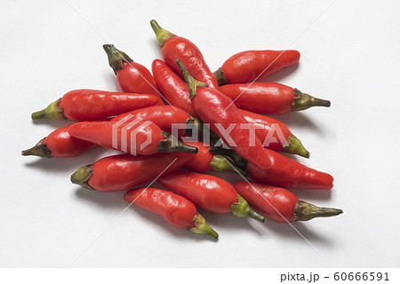 沖縄の島とうがらしの写真素材