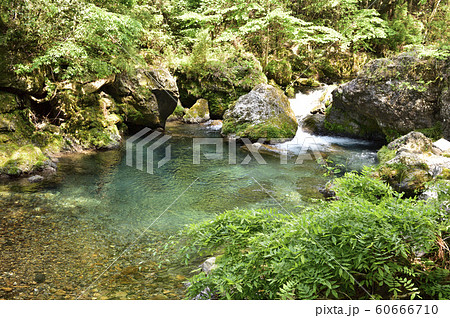 【岐阜県】円原川 渓流イメージ 【岐阜県】円原川 渓流イメージ 60666710