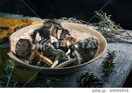 spanish edible mushrooms on a table 60666826
