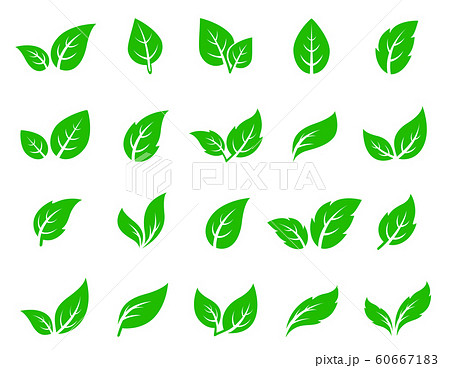 Hand Drawn Veined Green Leaf Icon Eco Setのイラスト素材