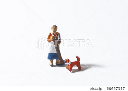 掃除をする女性と犬 60667357