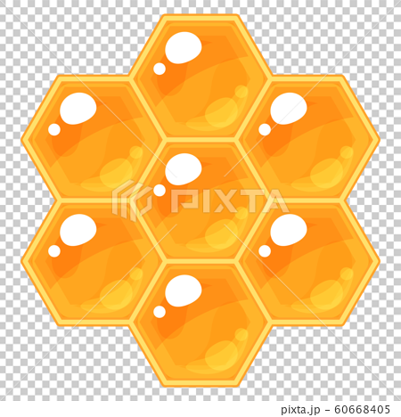ミツバチの巣のイラスト 7のイラスト素材