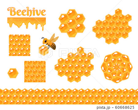 ハチの巣のイラスト素材セットのイラスト素材