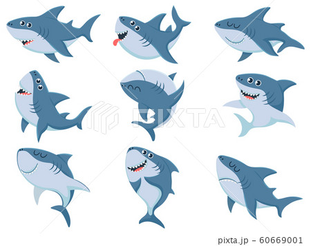 Cartoon Sharks Comic Shark Animals Scary Jaws のイラスト素材