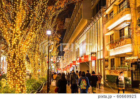 《東京都》表参道・クリスマスイルミネーション 《東京都》表参道・クリスマスイルミネーション 60669925
