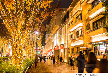 《東京都》表参道・クリスマスイルミネーション 《東京都》表参道・クリスマスイルミネーション 60669926