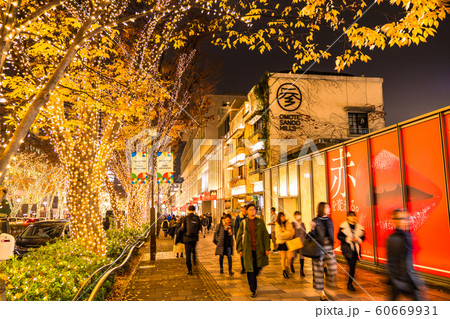 《東京都》表参道・クリスマスイルミネーション 《東京都》表参道・クリスマスイルミネーション 60669931
