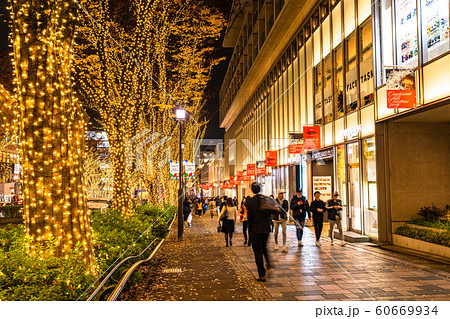 《東京都》表参道・クリスマスイルミネーション 60669934