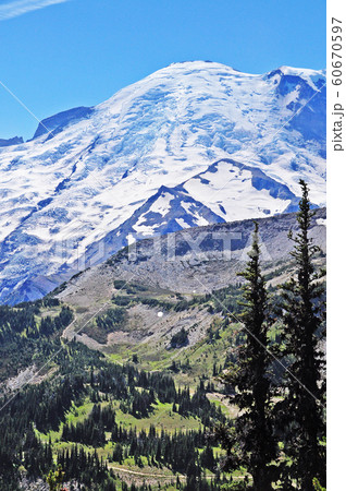 マウントレニエ国立公園　Mount Rainier National Park 60670597