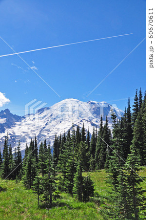 マウントレニエ国立公園　Mount Rainier National Park 60670611
