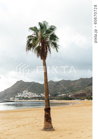 View from the height of the golden sand, palm trees, sun loungers. cloudy weather 60670728