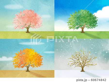 春夏秋冬 桜の木 のイラスト素材