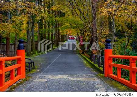 紅葉の今熊野観音寺 60674987